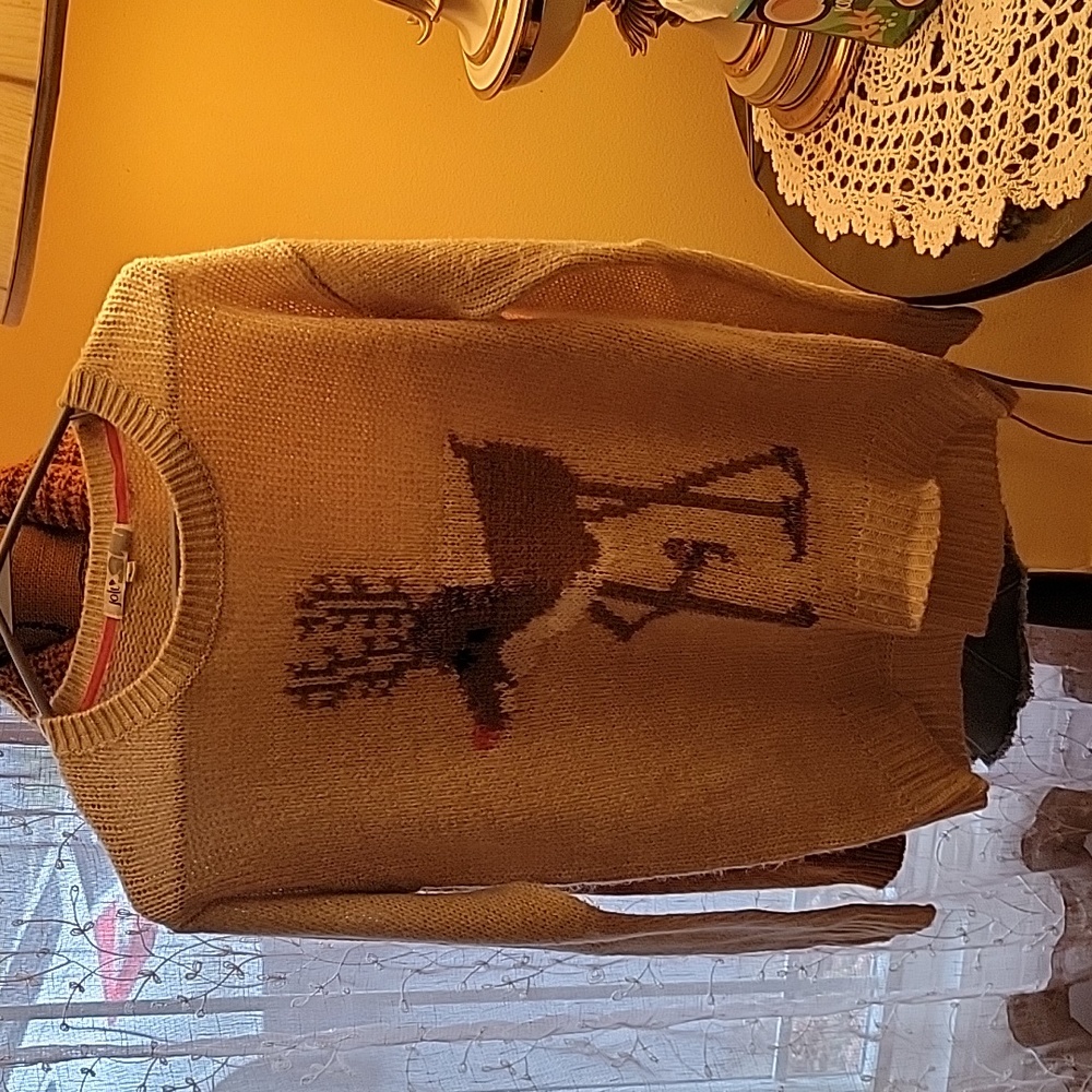 Reindeer sweater. Size small. Jolt. Like new.
